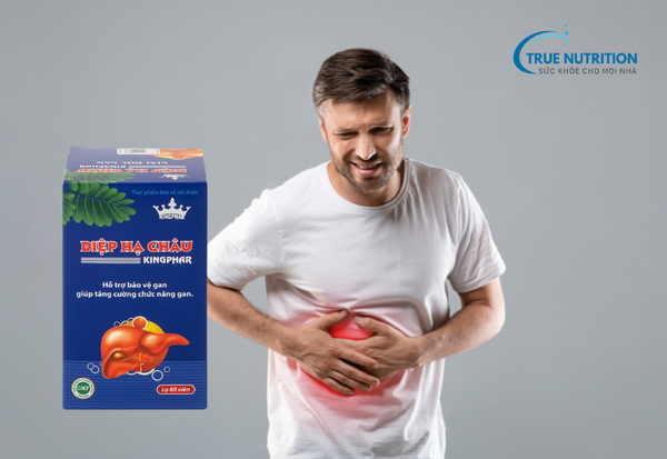 Diệp hạ châu Kingphar có tốt không?