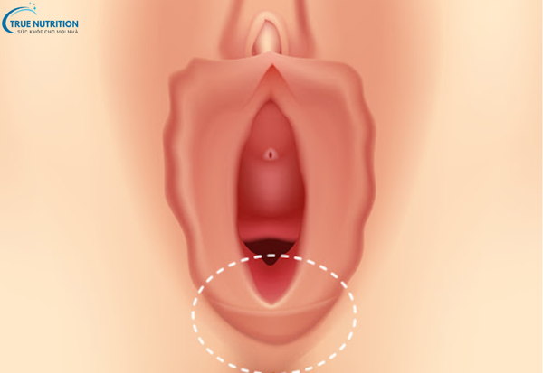Tâm Lý Sợ Đau Khi Quan Hệ: Những Nguyên Nhân Tiềm Ẩn Và Cách Vượt Qua