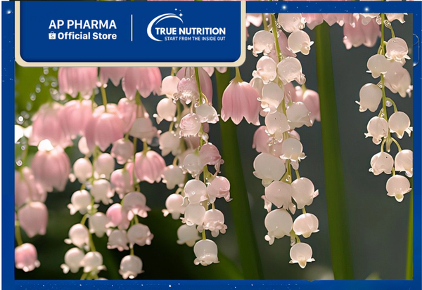 cây hoa linh lan hồng