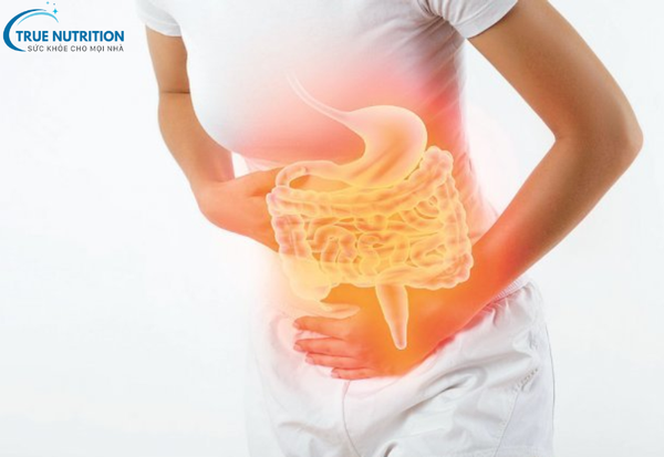 Hội Chứng Ruột Kích Thích: Những Điều&nbsp; Cần Biết Để Bảo Vệ&nbsp; Đường Ruột