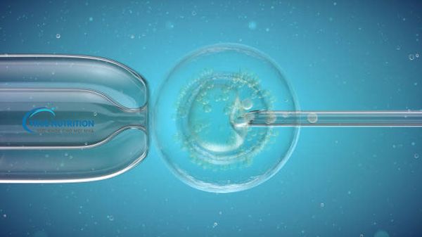 Chuẩn Bị Trước Khi Làm IVF Dùng OvaQ1 và SpermQ?&nbsp;Đúng Chuẩn