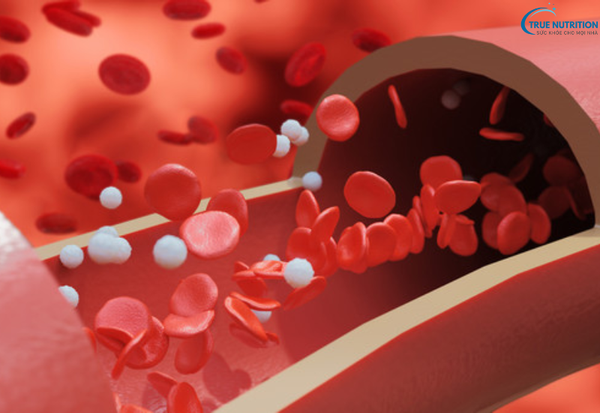 Nguyên Nhân Gây Bệnh Hemophilia: Di Truyền và Các Yếu Tố Cần Biết