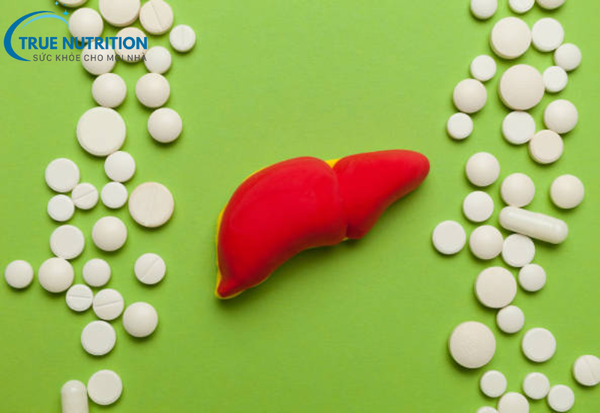 Khi Nào Nên Uống Thuốc Bổ Gan? Hướng Dẫn Chọn Thời Điểm Vàng