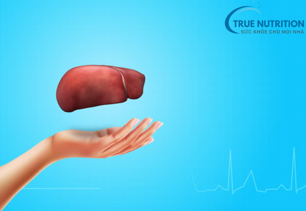 Làm Sao Biết Gan Có Vấn Đề? 7 Dấu Hiệu Cảnh Báo Cần Lưu Ý Ngay