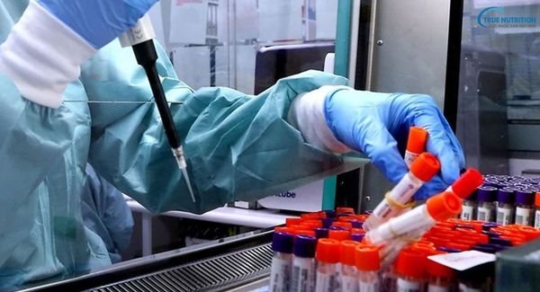 Toàn Cảnh Vụ Thất Lạc 300 Ống Virus Nguy Hiểm Tại Queensland, Australia