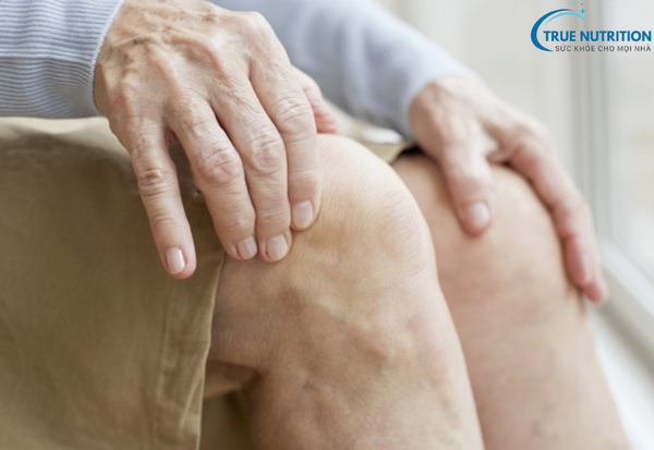 Loãng Xương: Những Điều Cần Biết Để Phòng Ngừa Và Chữa Trị Bệnh Hiệu Quả