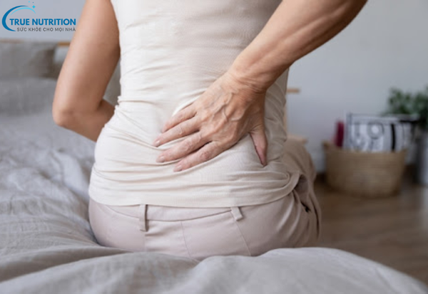 Loãng Xương: Những Điều Cần Biết Để Phòng Ngừa Và Chữa Trị Bệnh Hiệu Quả