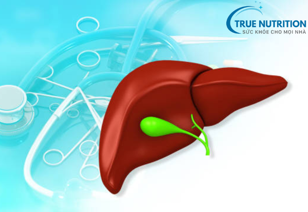 Lysin Có Phải Là Thuốc Bổ Gan Không? Tác Dụng Thực Sự Của Lysin