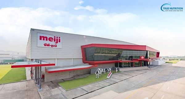 tập đoàn meiji