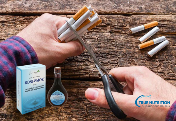 Mua Boni Smok Ở Đâu Hà Nội? Hướng Dẫn Địa Chỉ Uy Tín