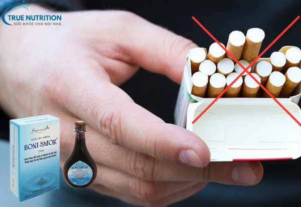 Mua Boni Smok Ở Đâu Hà Nội? Hướng Dẫn Địa Chỉ Uy Tín