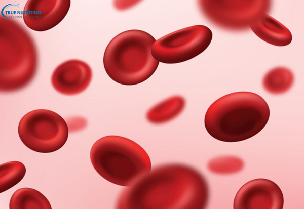 Bệnh Huyết Tán Tự Miễn: Nguyên Nhân, Triệu Chứng Và Cách Điều Trị