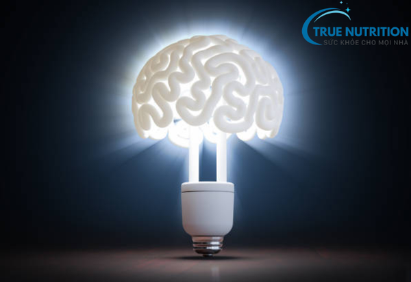 Não Bộ Có Bao Nhiêu Tế Bào? Cấu Trúc Thần Kinh Và Khả Năng Ghi Nhớ