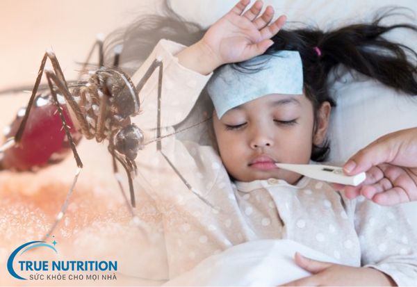 Sốt xuất huyết: Những điều cần biết và cách phòng ngừa