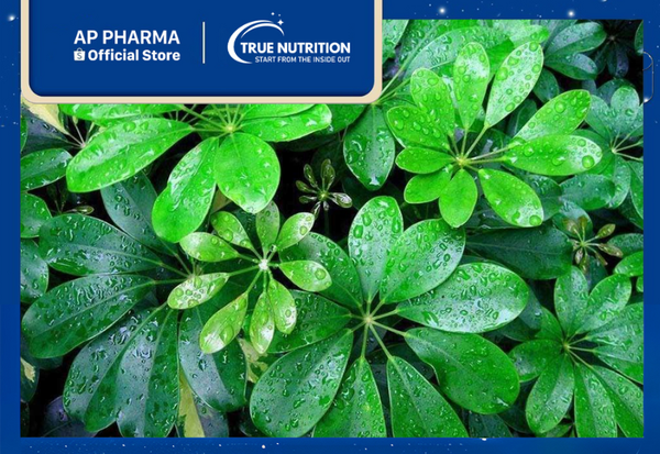 ngu gia bì chân chim