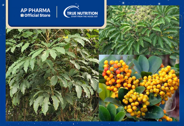 ngu gia bì chân chim