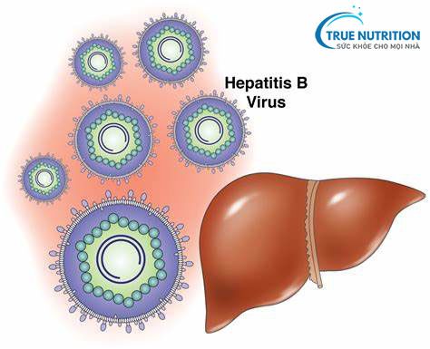 Nhiễm Trùng Gan Có Nguy Hiểm Không?