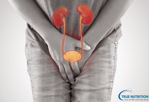 Nhiễm Trùng Đường Tiết Niệu: Cảnh Báo Triệu Chứng&nbsp; Và Cách Phòng Ngừa