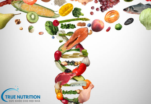 Những Thực Phẩm Nào Bổ Não? Bí Quyết Ăn Uống Giúp Tăng Trí Nhớ