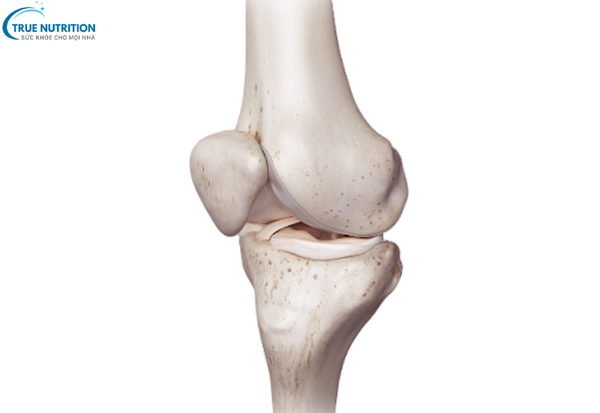 Nội Soi Khớp Gối: Phương Pháp Chẩn Đoán Và Điều Trị Các Bệnh Lý Khớp