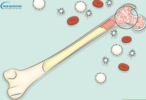 Ghép Xương Là Gì? Giải Pháp Tái Tạo Và Phục Hồi Xương Sau Chấn ThươngGhép Xương Là Gì? Giải Pháp Tái Tạo Và Phục Hồi Xương Sau Chấn Thương