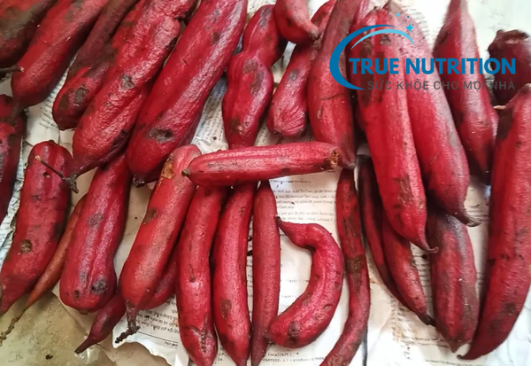 quả bòi vịt có tác dụng gì