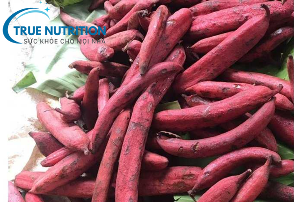 quả bòi vịt có tác dụng gì