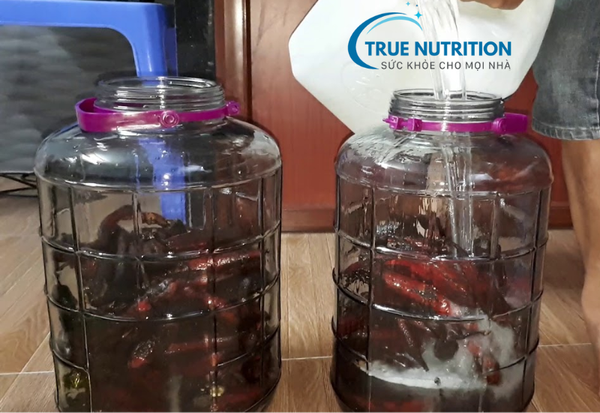 quả bòi vịt có tác dụng gì