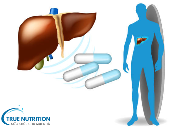 Tại Sao Cần Uống Bổ Gan? Lợi Ích Từ Việc Hỗ Trợ Chức Năng Gan
