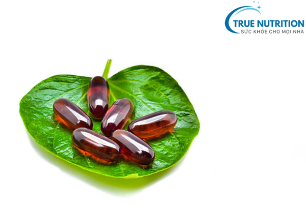 Tại Sao Cần Uống Bổ Gan? Lợi Ích Từ Việc Hỗ Trợ Chức Năng Gan