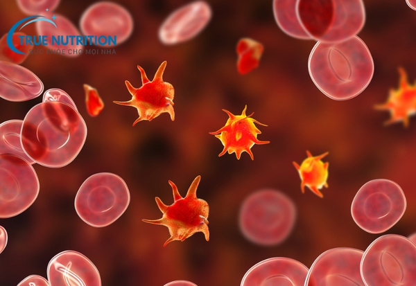 Xuất Huyết Giảm Tiểu Cầu: Triệu Chứng và Biện Pháp Phòng Ngừa