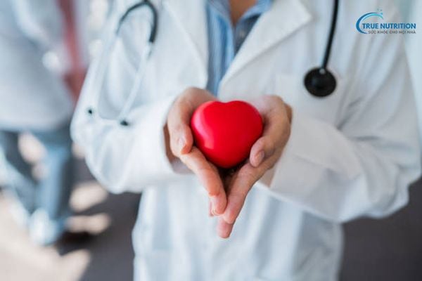 Xây Dựng Thực Đơn Bữa Sáng Dành Cho Người Mỡ Máu Cao