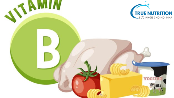 các nhóm vitamin B