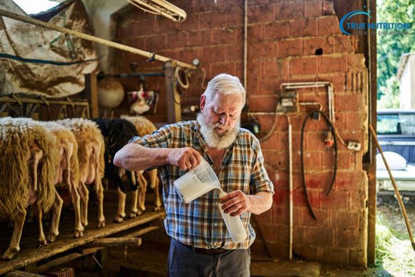 Top 10+ Loại Sữa Tốt Nhất Cho Người Tiểu Đường Được Ưa Chuộng: An Toàn, Hiệu Quả