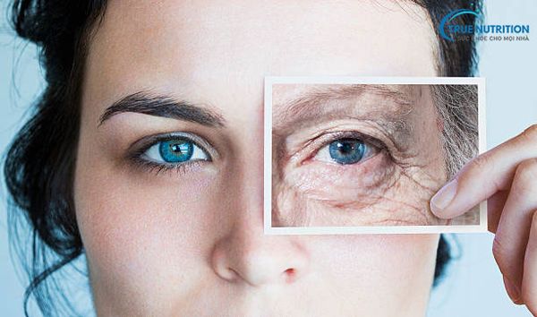 Triệu Chứng Bệnh Tiểu Đường: Nhận Diện Sớm Để Bảo Vệ Sức Khỏe