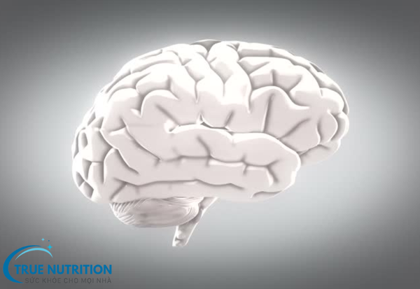 Uống Thuốc Bổ Não Lúc Nào Tốt Nhất? Lời Khuyên Tăng Cường Trí Nhớ Và Tập Trung