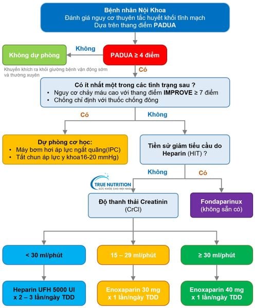 Thang điểm IMPROVE: Yếu Tố Nguy Cơ, Ý Nghĩa, Ứng Dụng