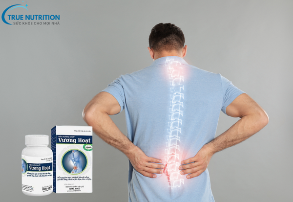 Vương Hoạt của Công Ty Nào? Sản Phẩm Chất Lượng từ Công Ty Fobic