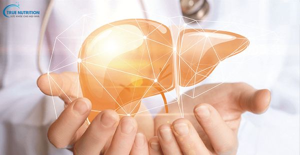 Xơ Gan Có Di Truyền Không?