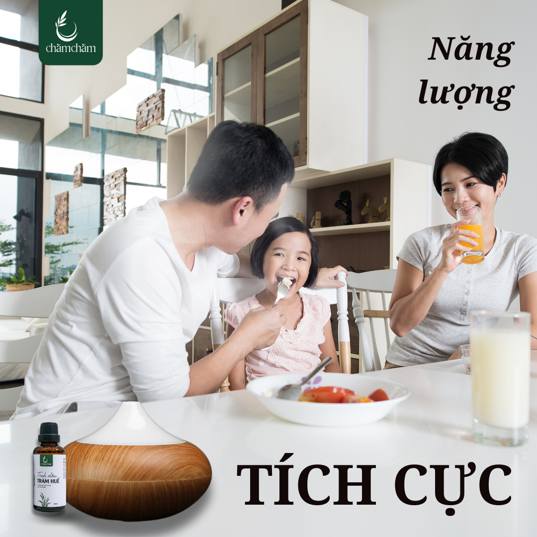 TINH DẦU TRÀM VÀ PHONG THỦY – MANG NĂNG LƯỢNG TÍCH CỰC CHO NĂM MỚI