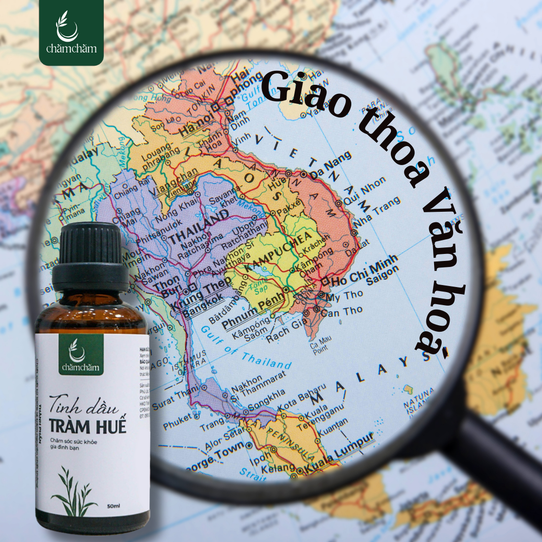 TẠI SAO TINH DẦU TRÀM ĐƯỢC YÊU THÍCH TRONG CÁC NỀN VĂN HÓA Á ĐÔNG?