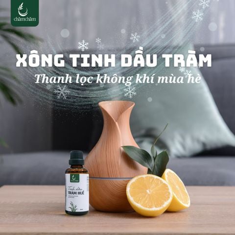 THANH LỌC KHÔNG KHÍ MÙA HÈ VỚI TINH DẦU TRÀM