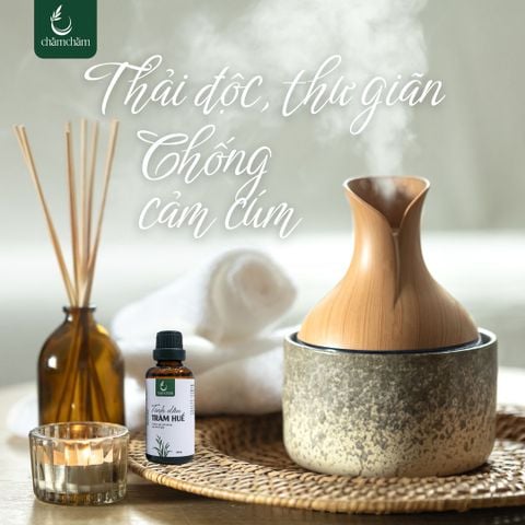XÔNG HƠI TINH DẦU TRÀM TẠI NHÀ – GIẢI PHÁP THẢI ĐỘC, THƯ GIÃN MÙA HÈ