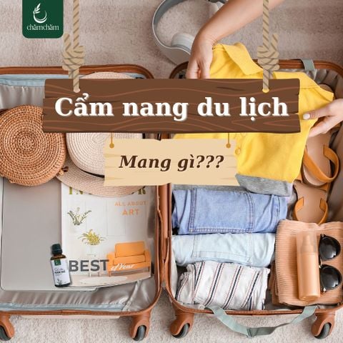 TINH DẦU TRÀM – VỊ CỨU TINH KHI ĐI DU LỊCH HÈ CÙNG GIA ĐÌNH