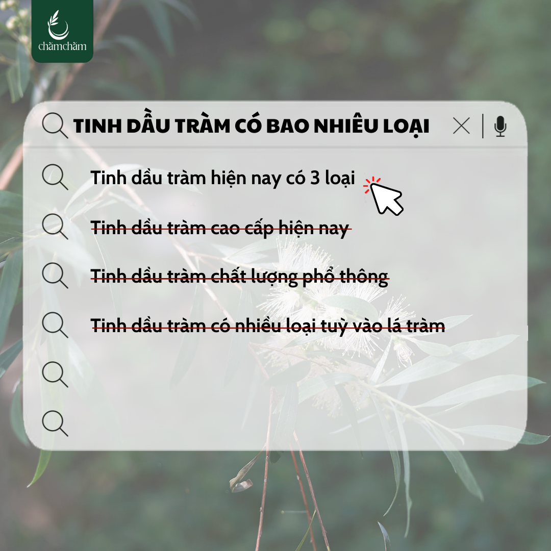 PHÂN LOẠI TINH DẦU TRÀM TRÊN THỊ TRƯỜNG HIỆN NAY