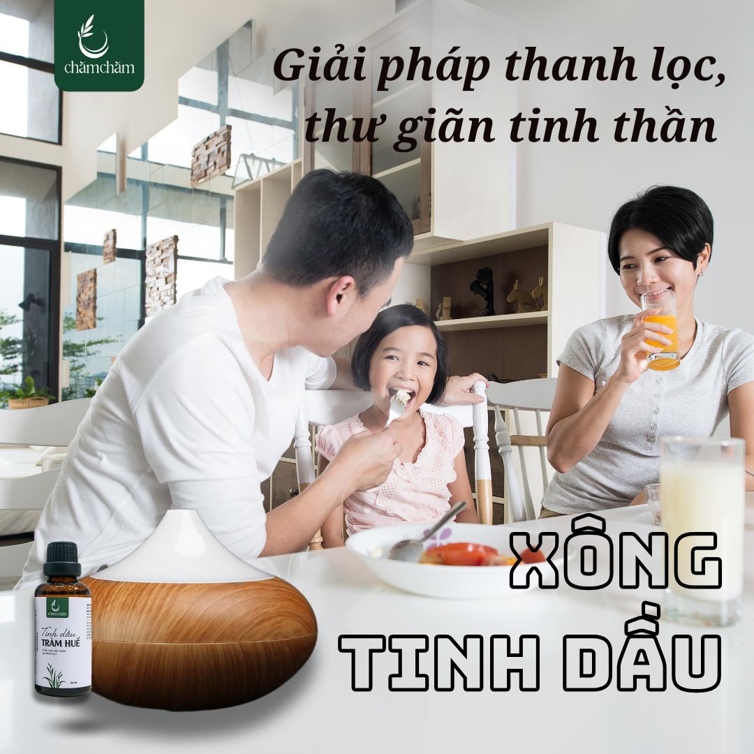 XÔNG HƠI VỚI TINH DẦU TRÀM – GIẢI PHÁP THANH LỌC CƠ THỂ, THƯ GIÃN TINH THẦN TRONG MÙA HÈ