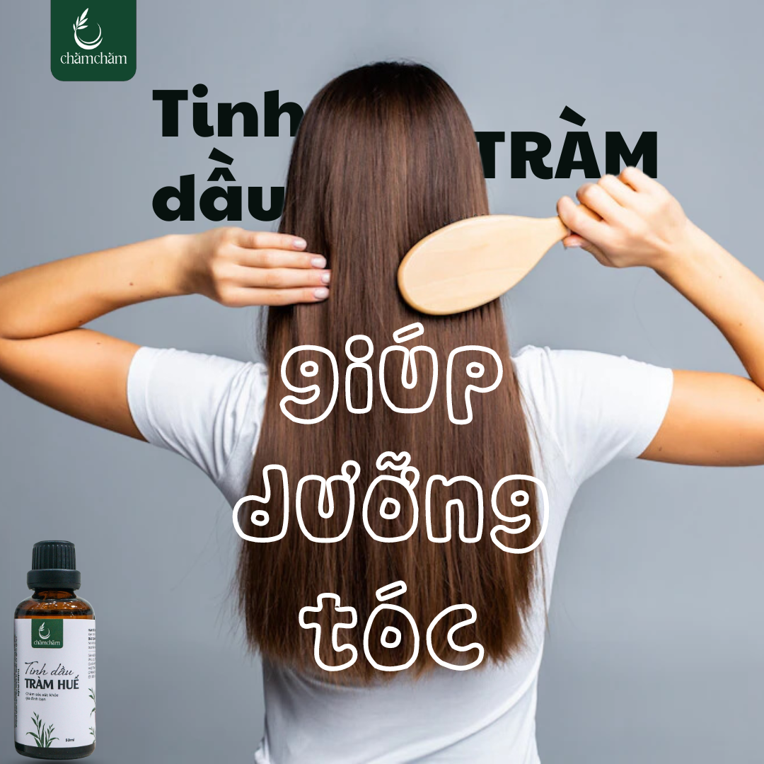 NHỮNG LỢI ÍCH CỦA TINH DẦU TRÀM ĐỐI VỚI MÁI TÓC CỦA BẠN