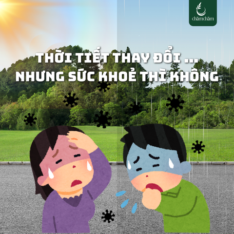 CÁCH LÀM XỊT KHÁNG KHUẨN TINH DẦU TRÀM TẠI NHÀ