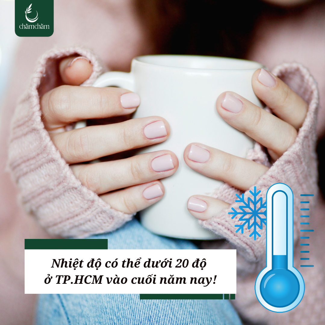 TINH DẦU TRÀM VÀ MẸO BẢO VỆ SỨC KHỎE GIA ĐÌNH TRONG MÙA ĐÔNG