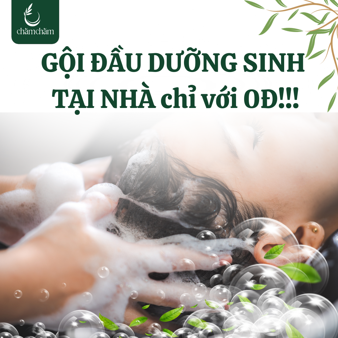 GỘI ĐẦU DƯỠNG SINH TẠI NHÀ KHÔNG TỐN THỜI GIAN, KHÔNG TỐN PHÍ